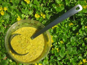 mung bean dahl soup 014
