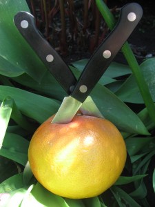 grapefruit one 012 grapefruit anti or pro cancer