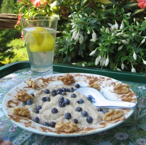 anti cancer oat bran with berries