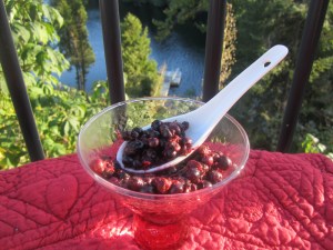anti cancer berries cooked with cinnamon