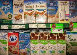 milks for an anti cancer diet